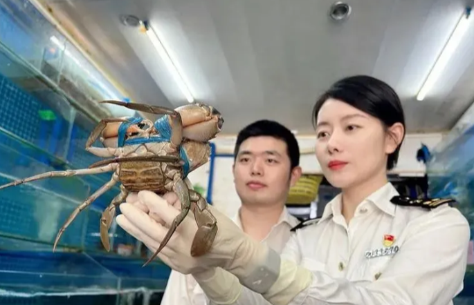 海南进口海鲜报关