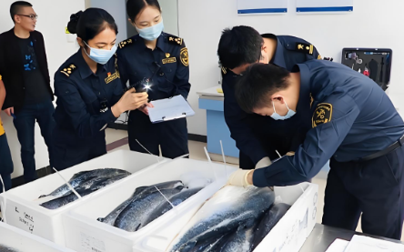海南水产品进出口报关清关