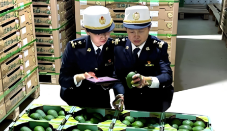 海南自贸港零关税进口鳄梨牛油果通关流程