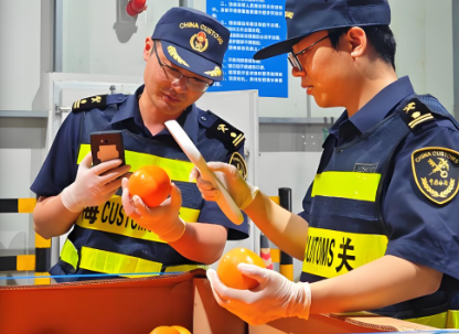 海南自贸港进口鲜蔓越橘越橘通关