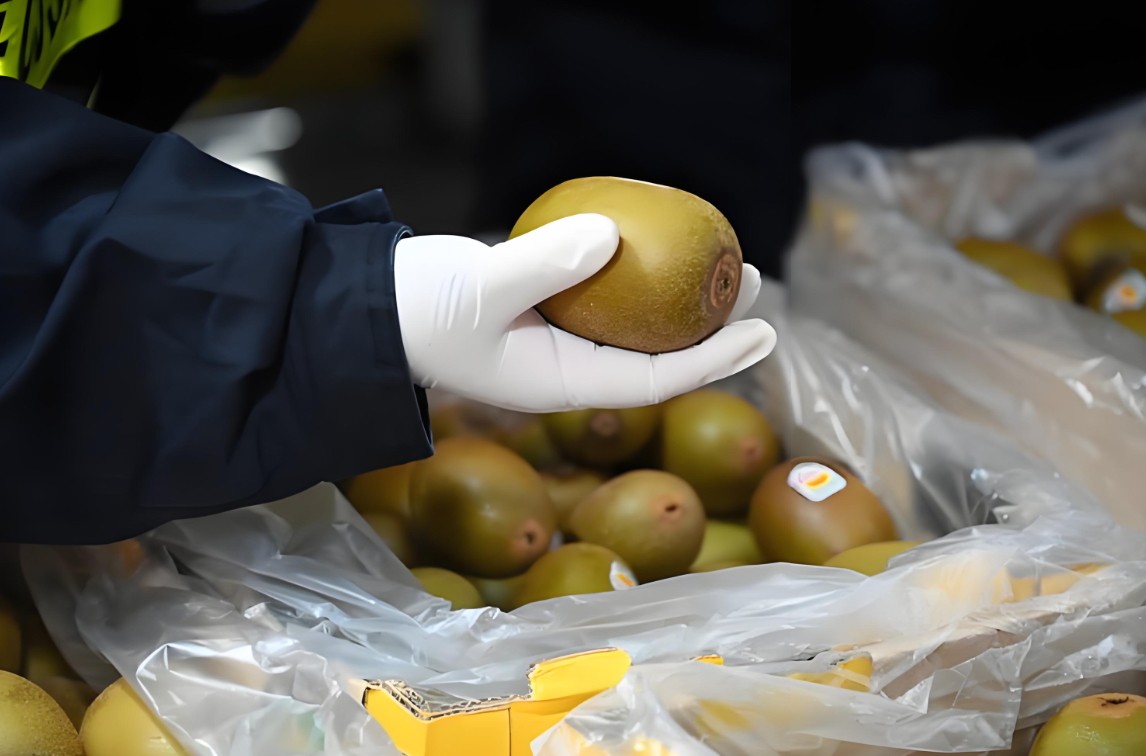自贸港免关税猕猴桃进口清关