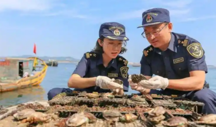 海南自贸港鲍鱼进口零关税