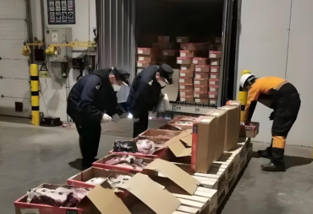 海南牛羊肉进出口报关公司找哪家