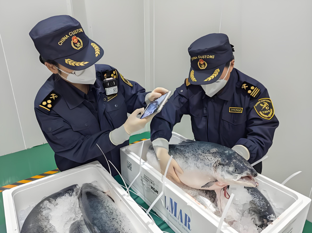 海南进出口海鲜冻货报关清关公司